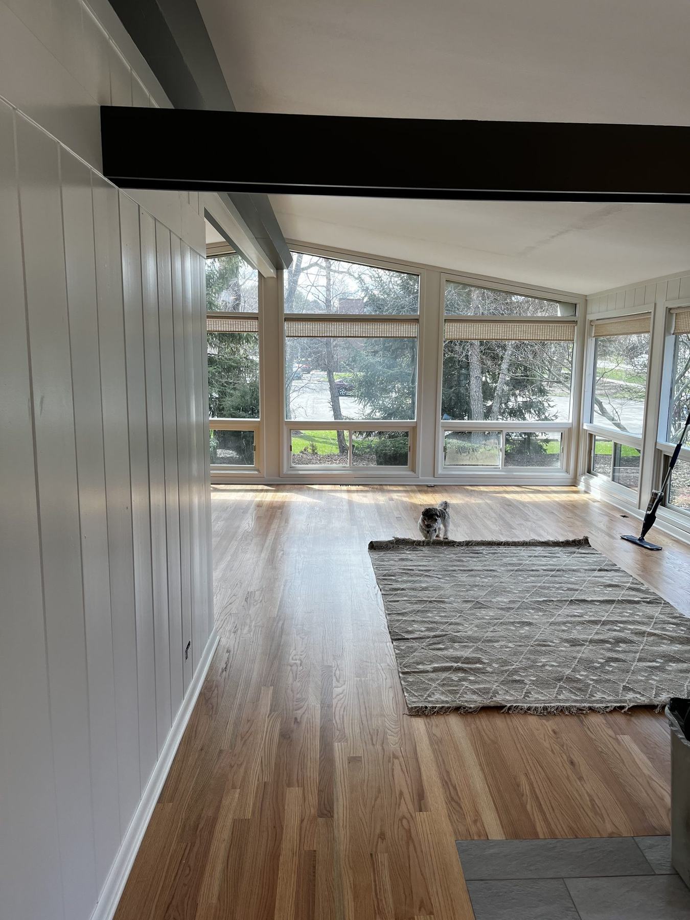 Living room with paneled walls painted white